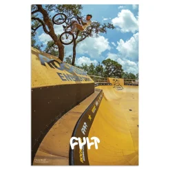 Chase Hawk Poster